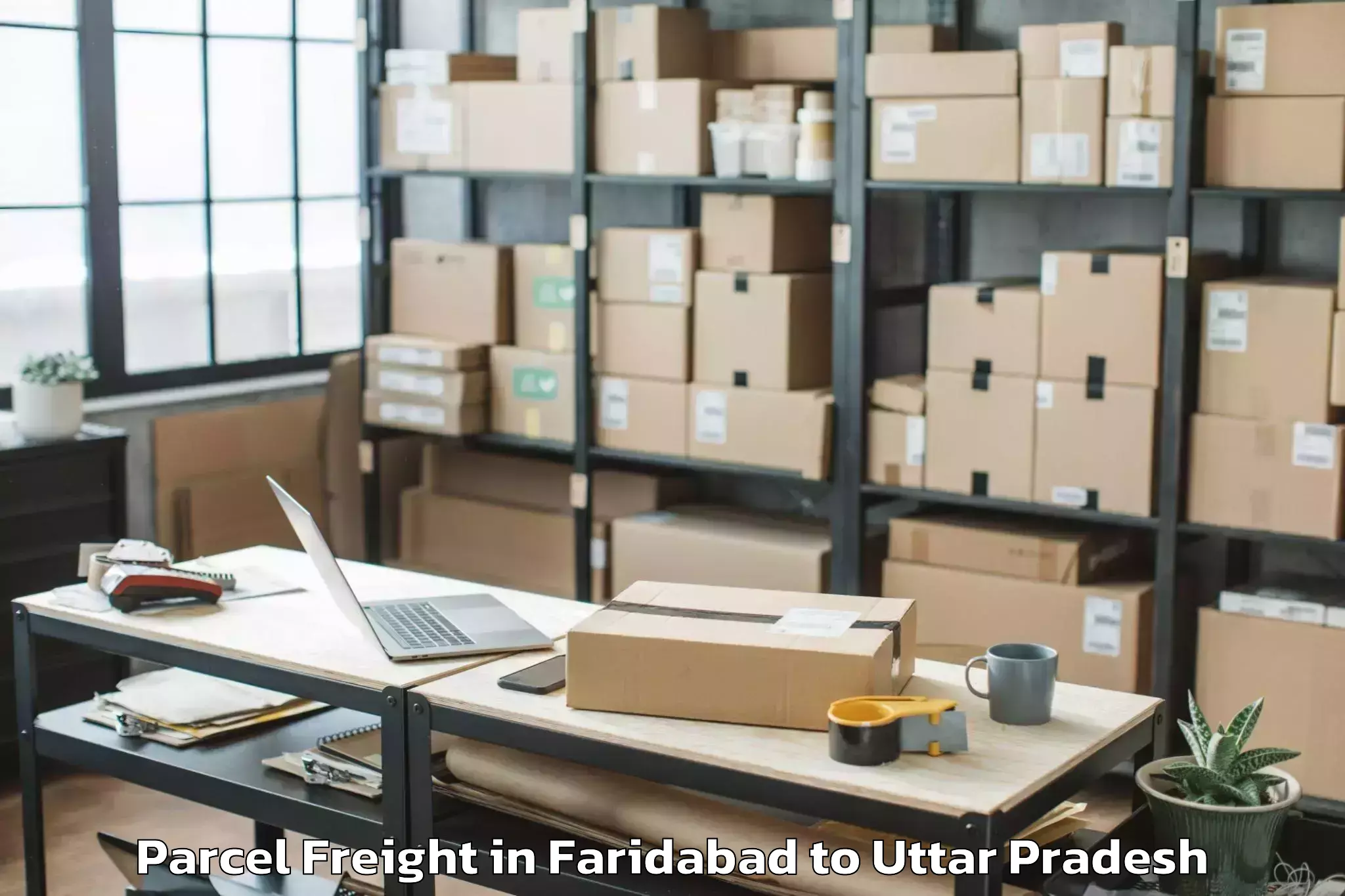 Book Faridabad to Bhinga Parcel Freight Online